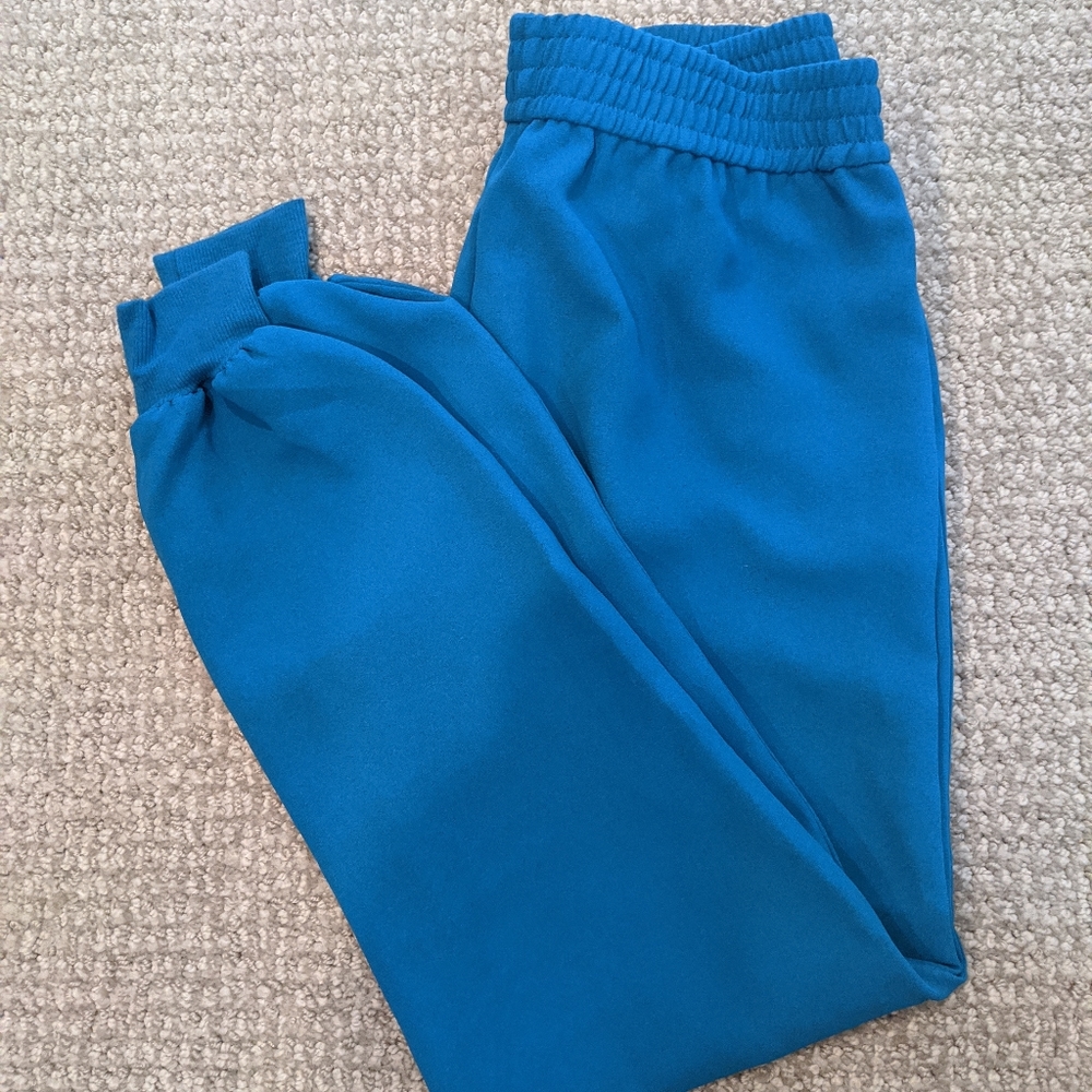 Vibrant blue joie mariner jogger pants